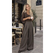 Broek Ruit Bruin