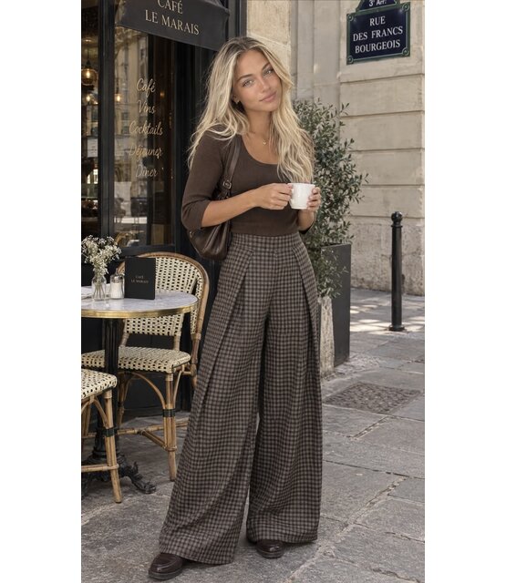 Broek Ruit Bruin