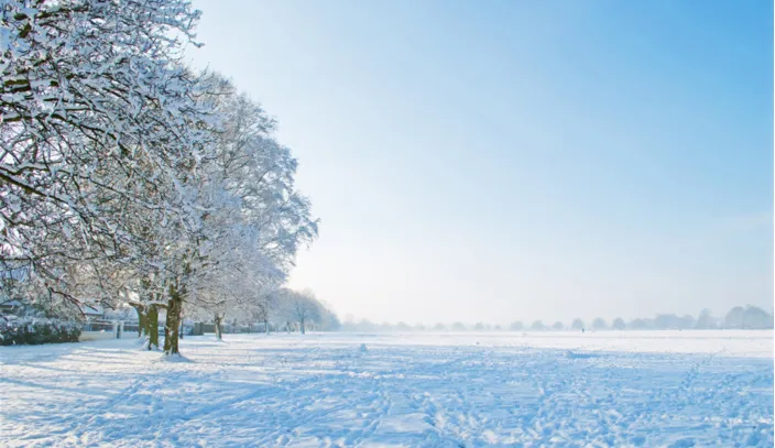 Waarom een strokengordijn