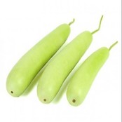 Bottle Gourd (Lauki) 500gr