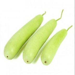 Bottle Gourd (Lauki) 500gr