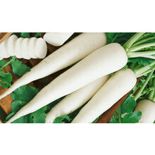 Radish (Muli) 250gr