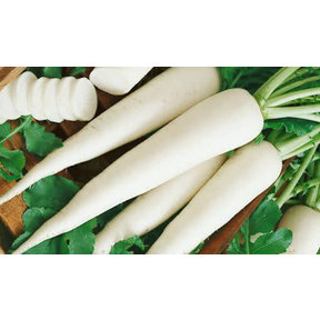 Radish (Muli) 250gr