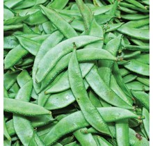 Field Beans (Valor Papdi) 250gr