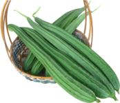 Ridge Gourd (Touri) 250gr