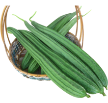 Ridge Gourd (Touri) 250gr