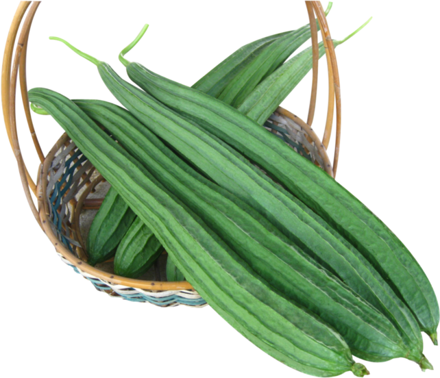 Ridge Gourd (Touri) 250gr