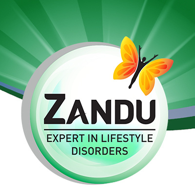 ZANDU AYURVEDIC Herbal Fast Action BALM 25gx 3 Pack. - Etsy