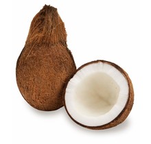 Coconut (1 Piece)