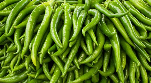 Green Chilli (Hari Mirchi) 100gr