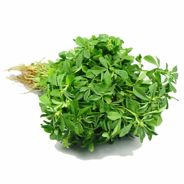 Fresh Fenugreek Leaves (Methi) 1 Bunch Fresh Fenugreek Leaves (Methi) 1 Bunch
