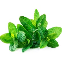 Mint (Pudina) 1 Bunch