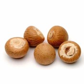 Betelnut Whole (Supari)