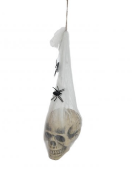 Schedel In Spinnenweb | Halloweendecoratie