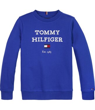 Tommy Hilfiger TH LOGO SWEATSHIRT ULTRA BLUE