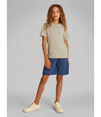 Calvin Klein CHEST INST.LOGO SS TEE LAUREL OAK