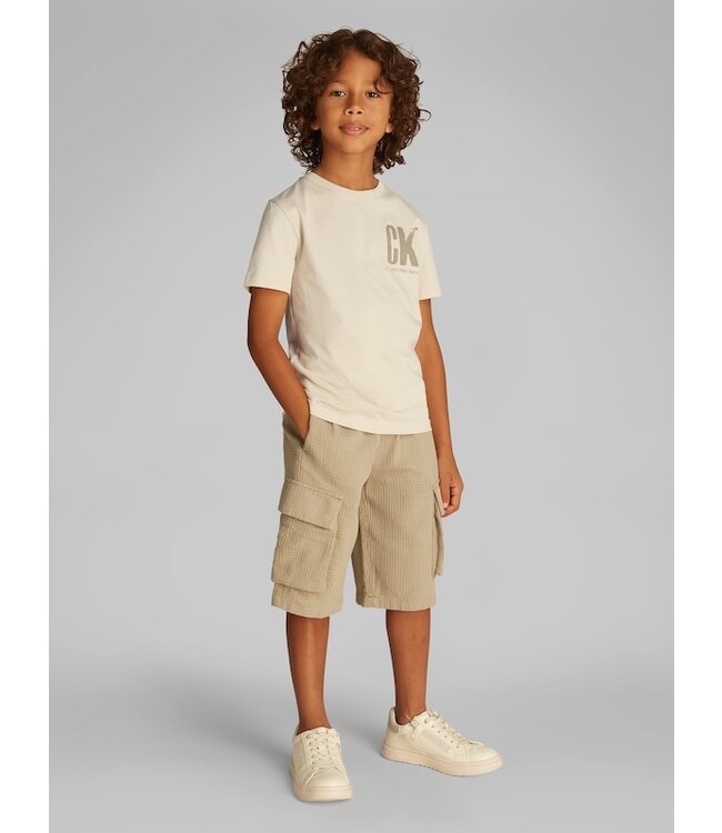 Calvin Klein CHEST SURF GRAPHIC TEE Oyster Gray