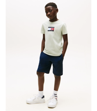 Tommy Hilfiger TOMMY SCRIPT FLAG T-SHIRT MISTY SAGE