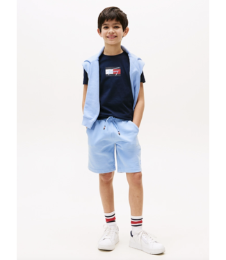 Tommy Hilfiger TOMMY SCRIPT FLAG T-SHIRT NAVY