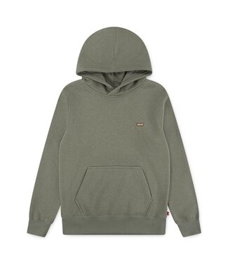 Levi's LVB MINI BATWING HOODIE DEEP LICHEN GREEN