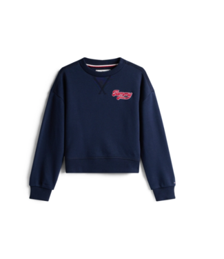 Tommy Hilfiger TOMMY FLOCK SWEATER Dark Night Navy