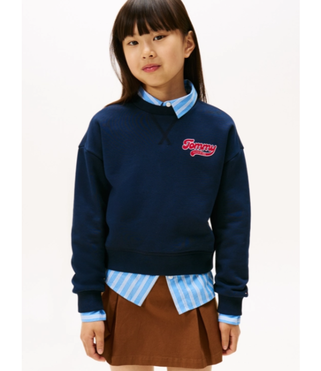 Tommy Hilfiger TOMMY FLOCK SWEATER Dark Night Navy