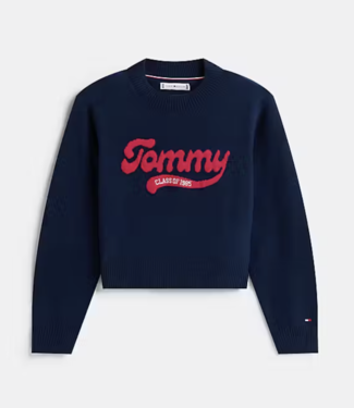 Tommy Hilfiger TOMMY LOGO SWEATER Dark Night Navy