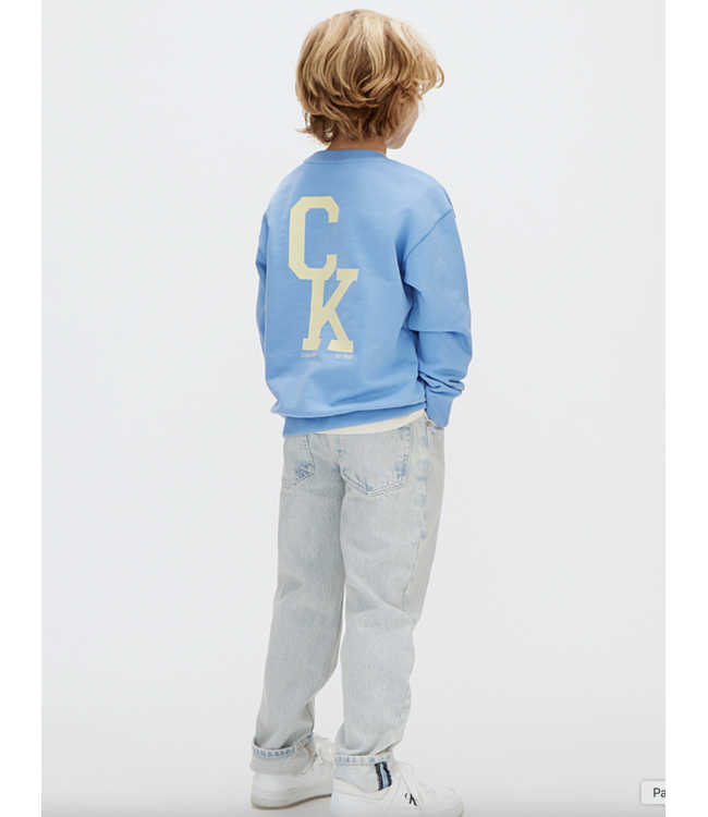 Calvin Klein RELAXED CREWNECK SWEATER PROVENCE