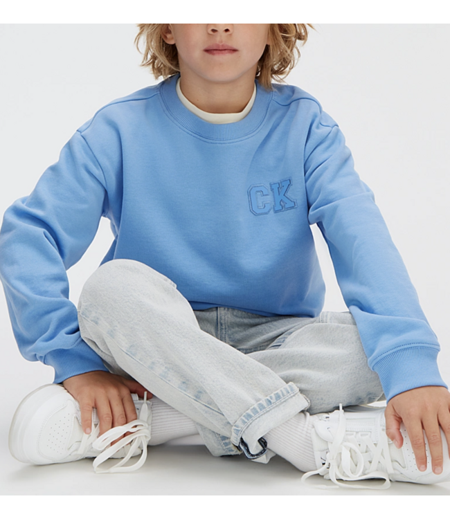 Calvin Klein RELAXED CREWNECK SWEATER PROVENCE