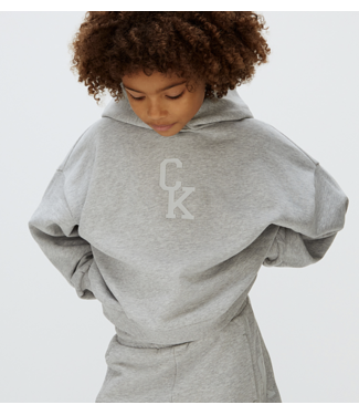 Calvin Klein CK HOODED SWEATSHIRT GREY HEATHER