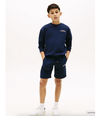 Tommy Hilfiger MONOTYPE GRAPHIC SWEATSHORTS DARK NAVY