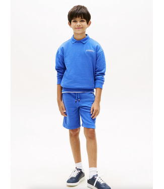 Tommy Hilfiger MONOTYPE GRAPHIC SWEATSHORT EMPIRE BLUE