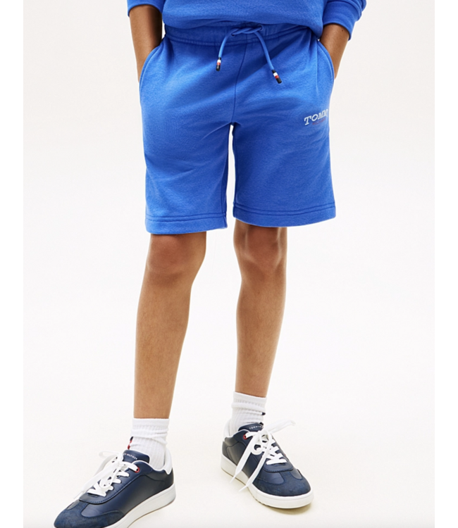 Tommy Hilfiger MONOTYPE GRAPHIC SWEATSHORT EMPIRE BLUE