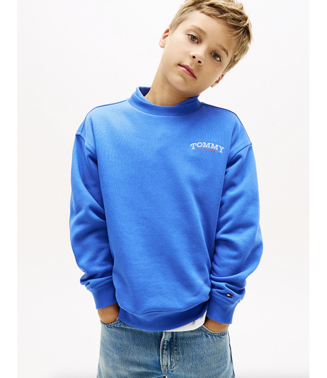Tommy Hilfiger MONOTYPE GRAPHIC SWEATER EMPIRE BLUE