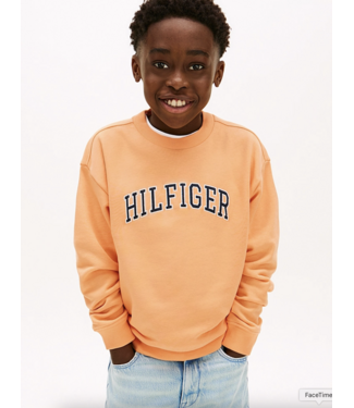 Tommy Hilfiger HILFIGER VARSITY SWEATER Faded Sun Kiss