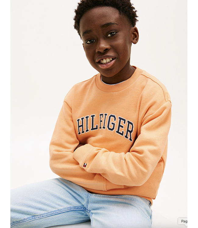 Tommy Hilfiger HILFIGER VARSITY SWEATER Faded Sun Kiss