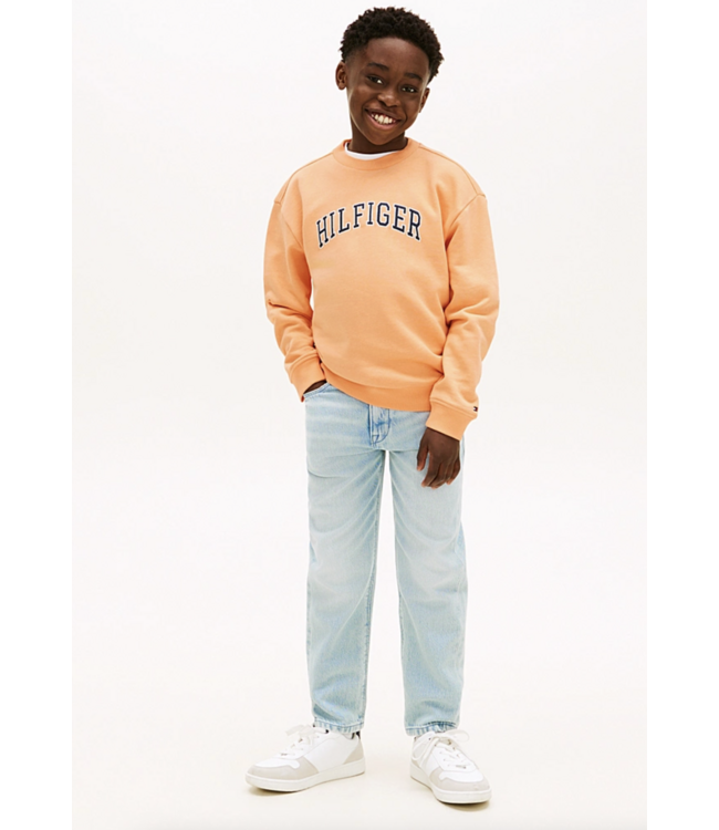 Tommy Hilfiger HILFIGER VARSITY SWEATER Faded Sun Kiss