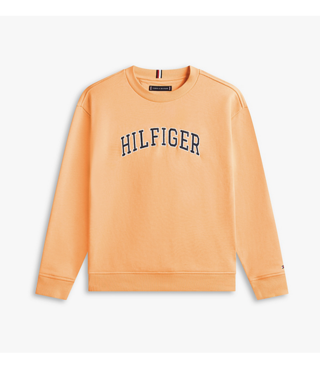 Tommy Hilfiger HILFIGER VARSITY SWEATER Faded Sun Kiss