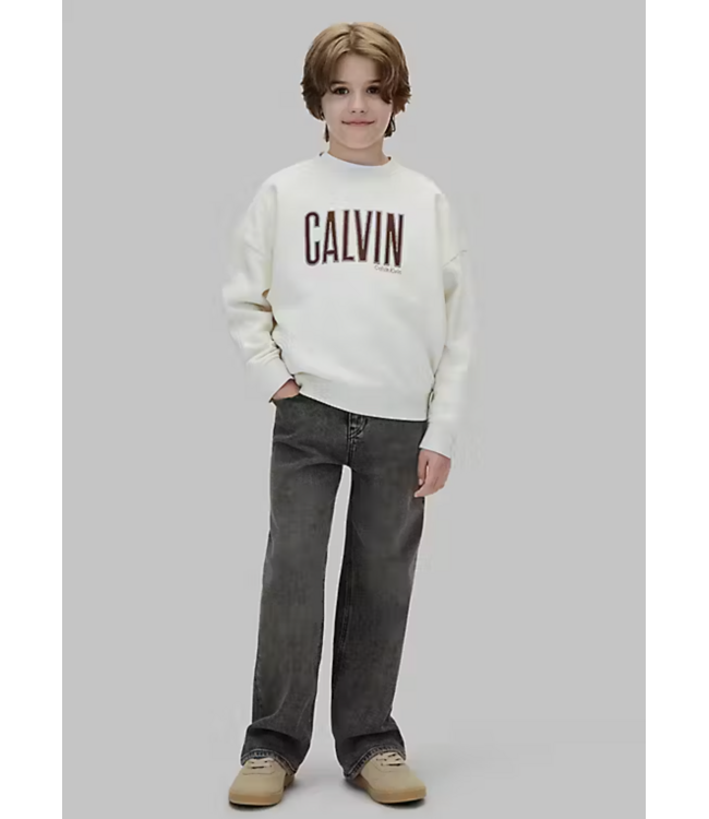 Calvin Klein CALVIN APPLIQUE CN SWEATER Turtledove