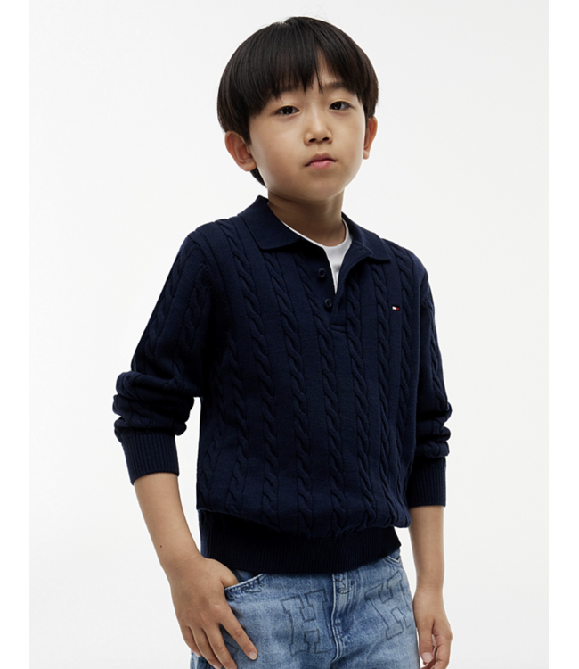 Tommy Hilfiger COTTON CABLE POLO SWEATER Dark Blue