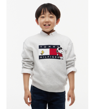 Tommy Hilfiger PEANUTS CREWNECK sweater Grey Heather