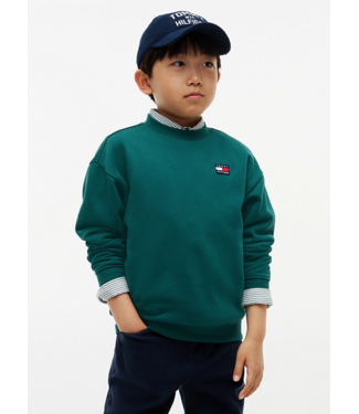 Tommy Hilfiger FLAG HERITAGE CREWNEck sweater Rural Green