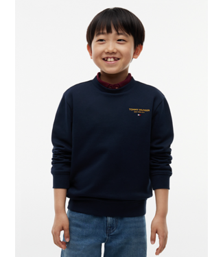 Tommy Hilfiger ESSENTIAL LOGO SWEATER Dark Blue
