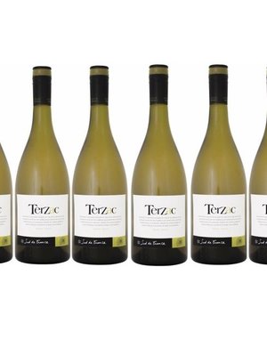 Fonjoya Terzac Blanc 2020 - Doos 6 flessen