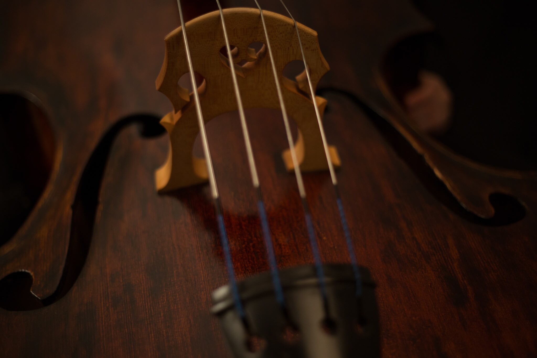 Alles over de violen van Stradivarius