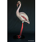 De Wonderkamer Flamingo (Phoenicopterus roseus)