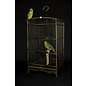 De Wonderkamer Wooden birdcage with two parakeets