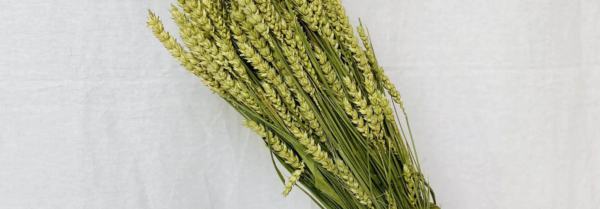 Tarwe Naturel