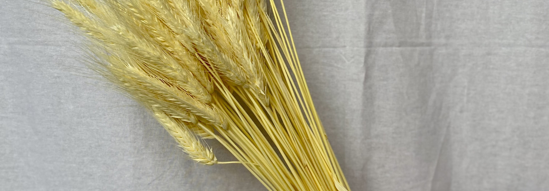 Tarwe BLOND BLEACHED