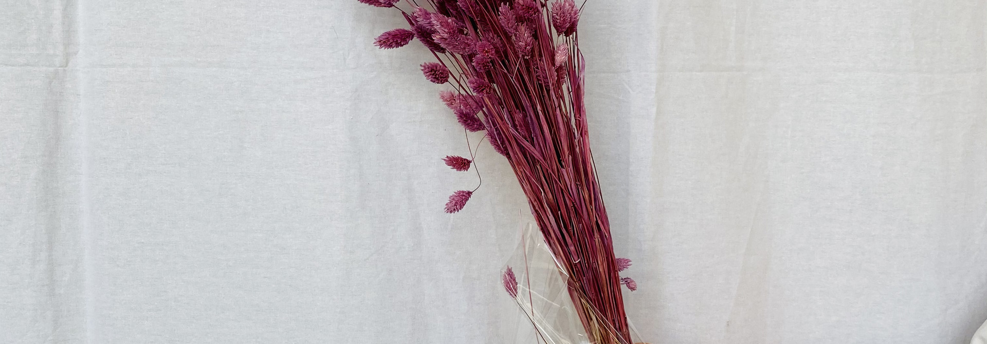 Phalaris gedroogd - Purple Rain